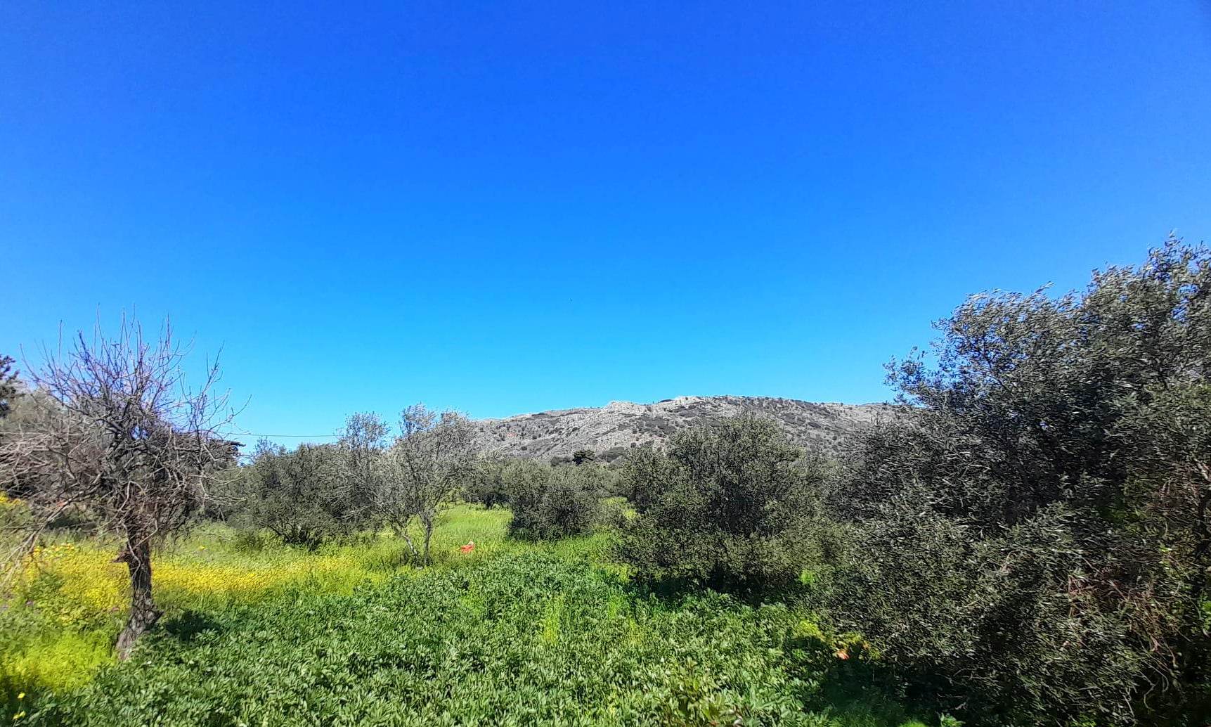 337770690_3314869265430729_5833141008691029933_n