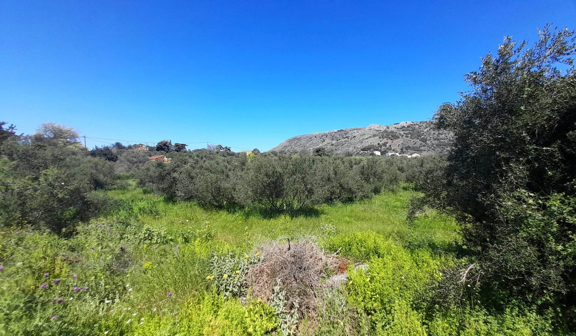 337782107_1284991548753147_6139523411960947645_n