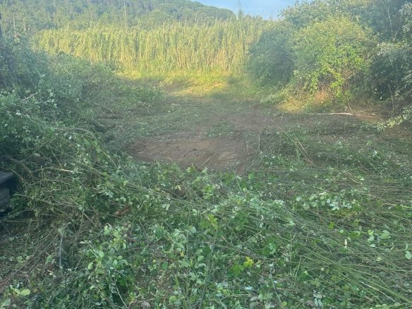Prime Developable Land In A Sought-after Location