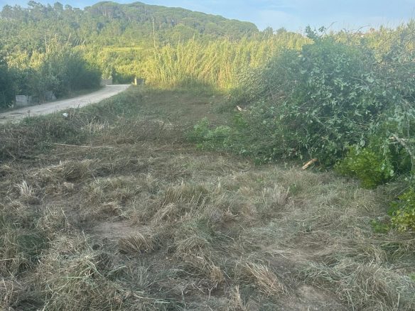Prime Developable Land In A Sought-after Location