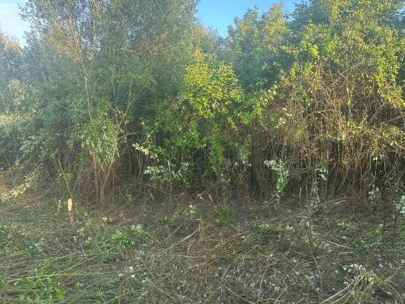 Prime Developable Land In A Sought-after Location