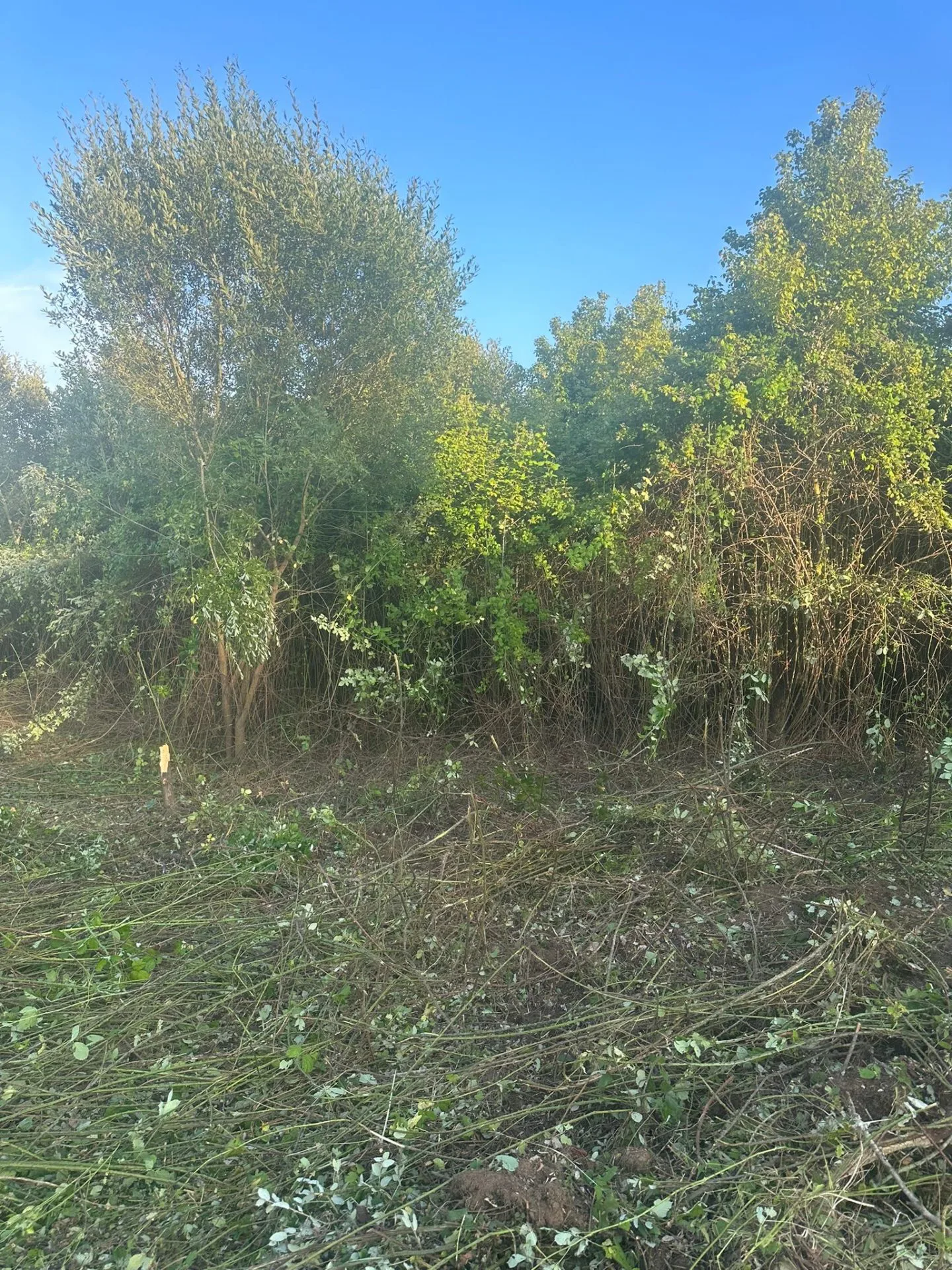 eb1a3577-dd04-4d00-b6f1-54c768008c80