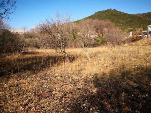 Land Plot 465 M² In Chalkidiki Region