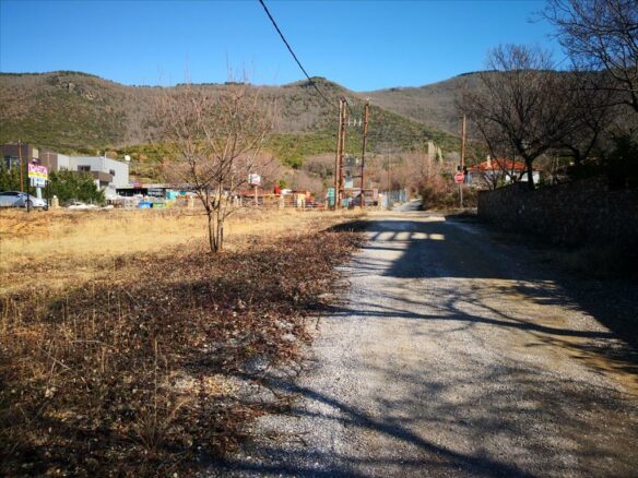 Land Plot 465 M² In Chalkidiki Region