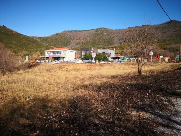 Land Plot 465 M² In Chalkidiki Region