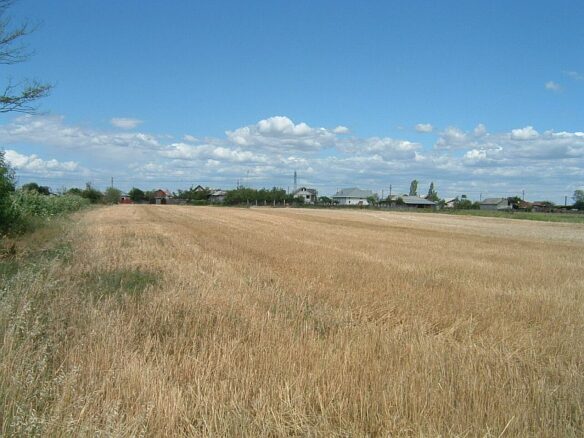 Romania Investment Land Plots – Last Few Plots Remaining!