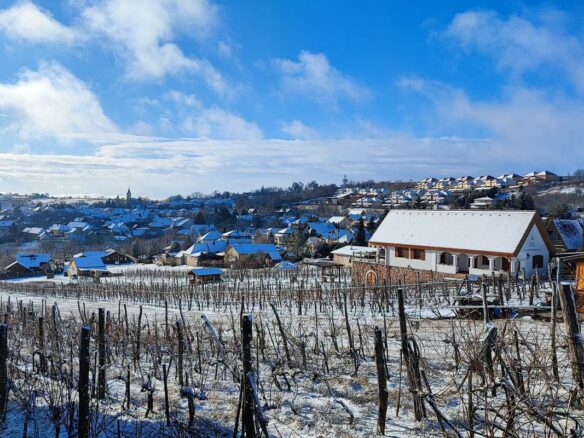 Discover Your Ideal Home In A Secure, Scenic Setting