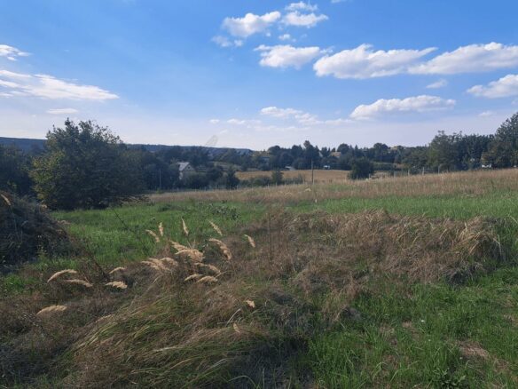 Charming Property For Sale In Cserszegtomaj, Zala