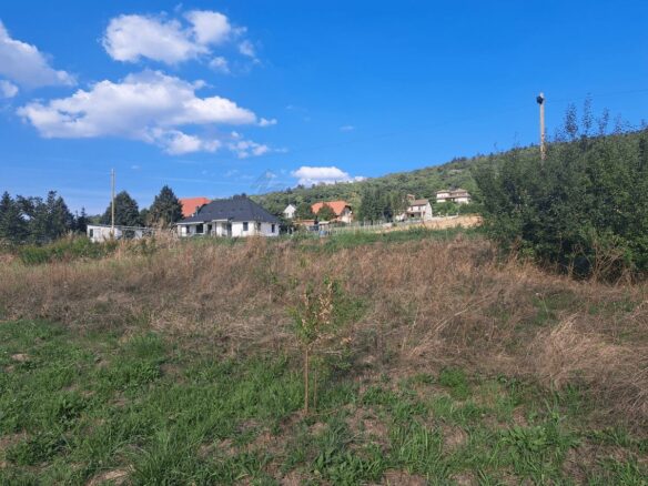 Charming Property For Sale In Cserszegtomaj, Zala