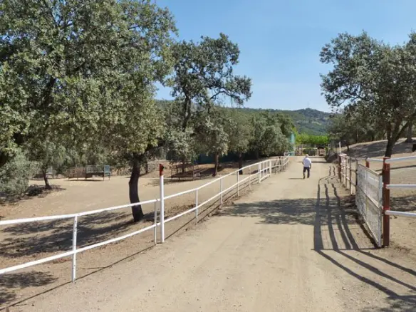 9-bedroom Finca In Espiel, Spain (500 M²)