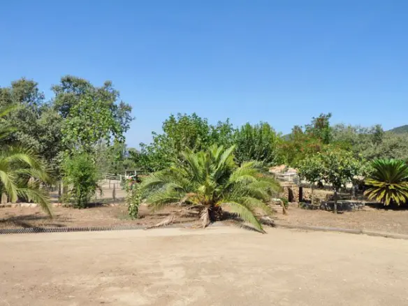 9-bedroom Finca In Espiel, Spain (500 M²)