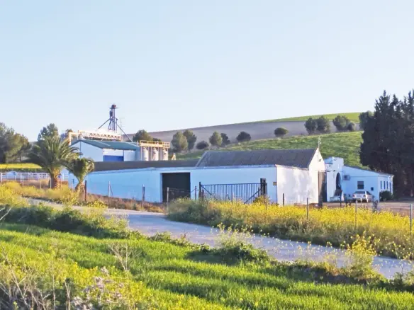 Finca In Bornos, Spain (157 M²)