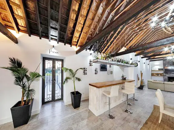 7-bedroom Finca In Las Cabezas De San Juan, Spain (2.100 M²)