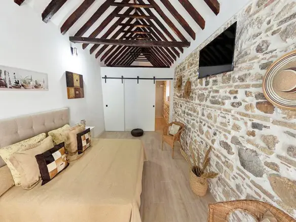 7-bedroom Finca In Las Cabezas De San Juan, Spain (2.100 M²)