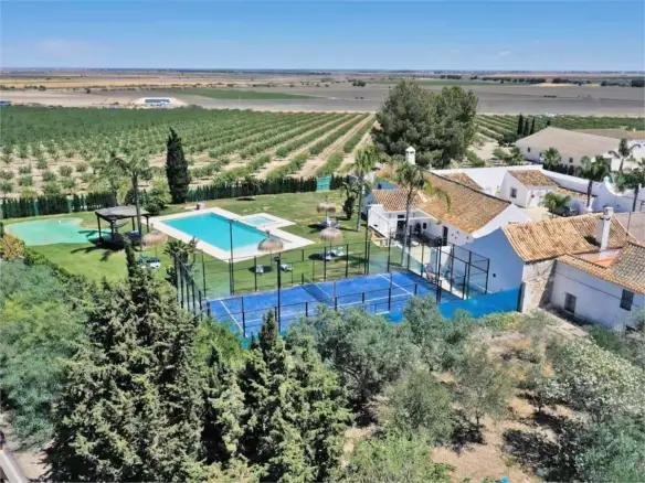 7-bedroom Finca In Las Cabezas De San Juan, Spain (2.100 M²)