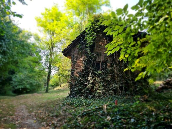 Charming Home For Sale In Dombóvár-szőlőhegy, Tolna