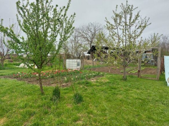 Charming Gyulaj Home For Sale In Tolna County