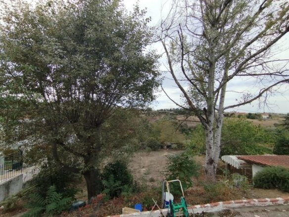 2-bedroom Commercial Property In Mikra, Greece (800 M²)