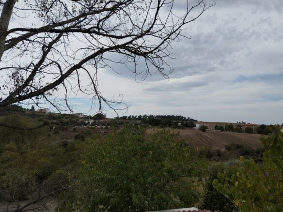 2-bedroom Commercial Property In Mikra, Greece (800 M²)