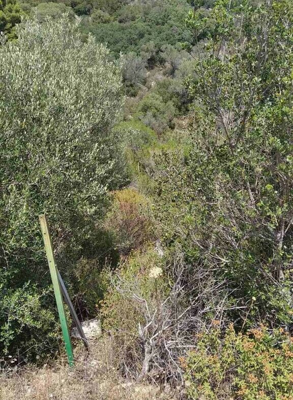 Land In Sithonia, Greece