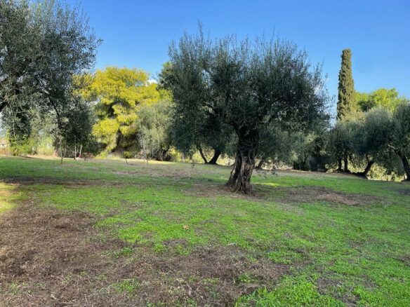 Land In Corfu, Greece