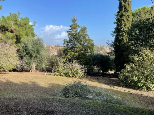 Land In Corfu, Greece