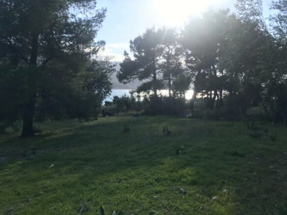 Land In Vilia, Greece