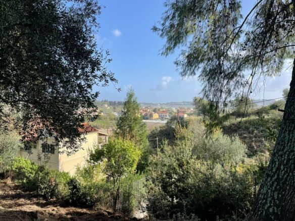 Land In Corfu, Greece