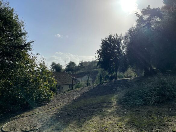 Land In Corfu, Greece