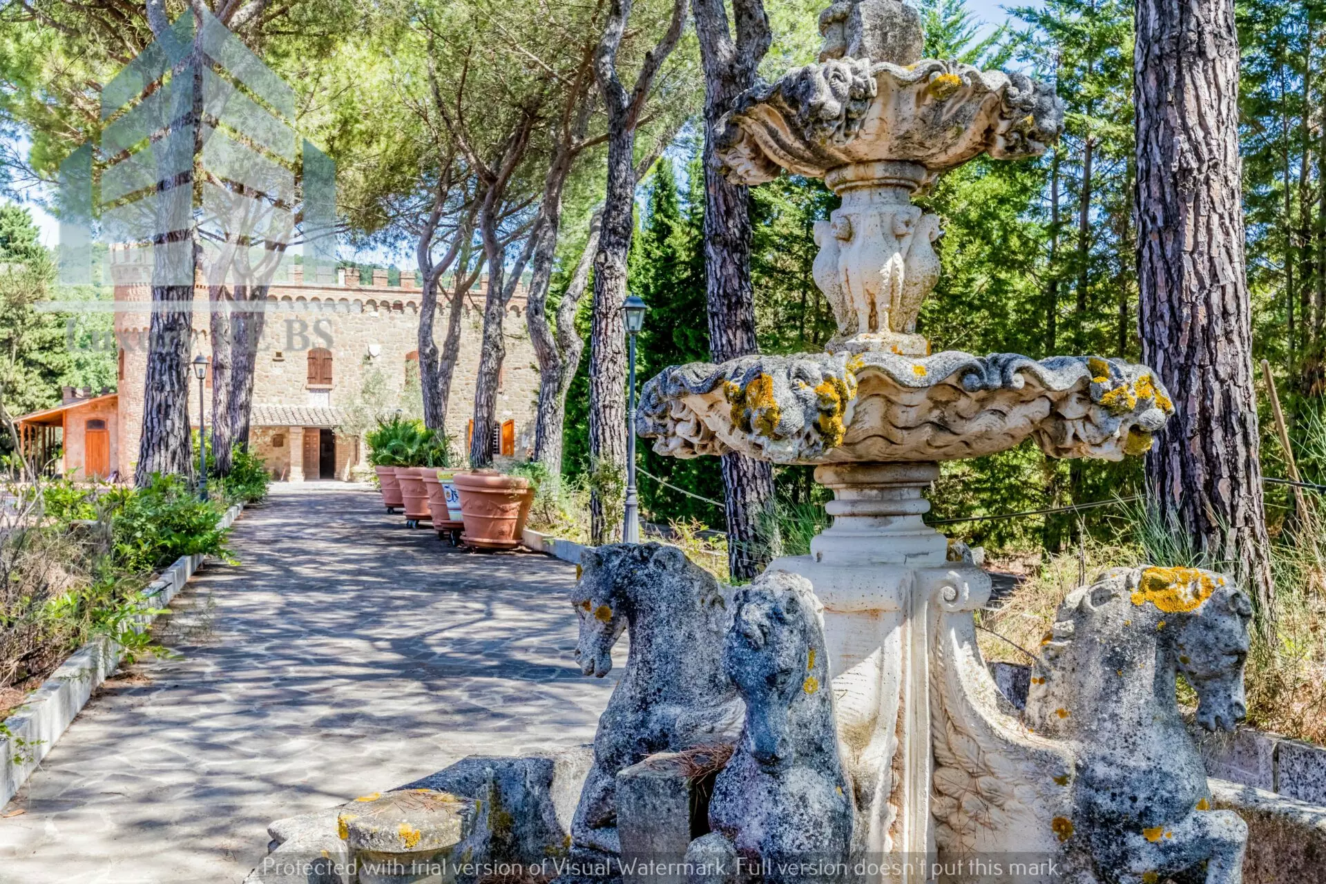 Castello Deruda in vendita (8)