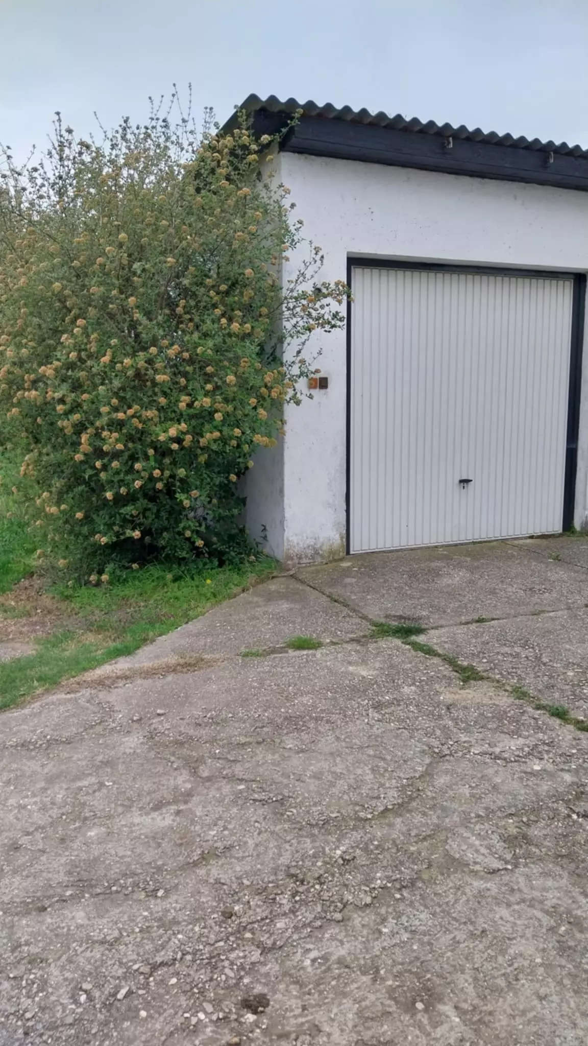 Messenger_creation_01F23F34-4ECB-4FEF-BF77-28C54B4FAB15