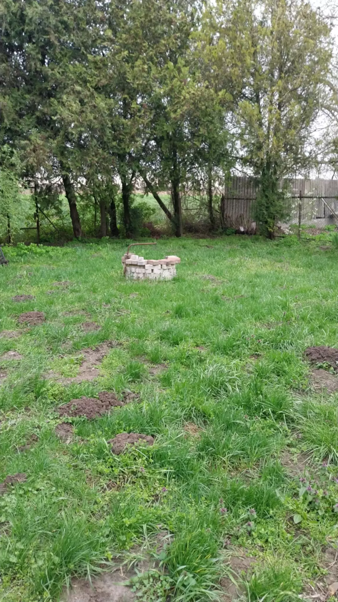 Messenger_creation_A96276AD-8C31-4636-A2BD-827F28E647AC