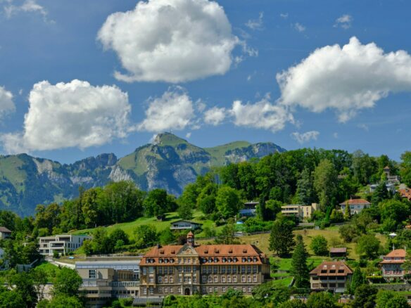 green trees and brown building under blue sky and white clouds during daytime
