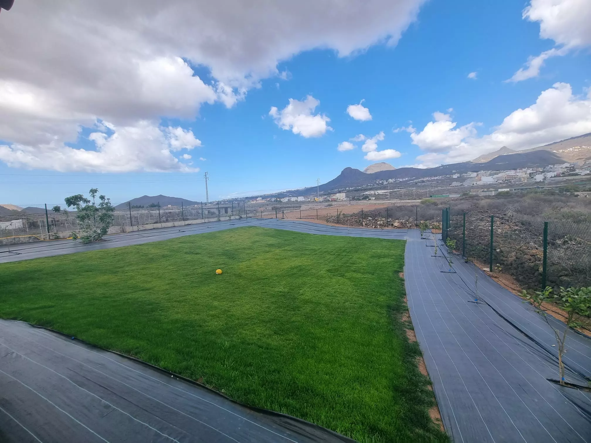 WhatsApp Image 2025-03-30 at 17.35.39_7171370d