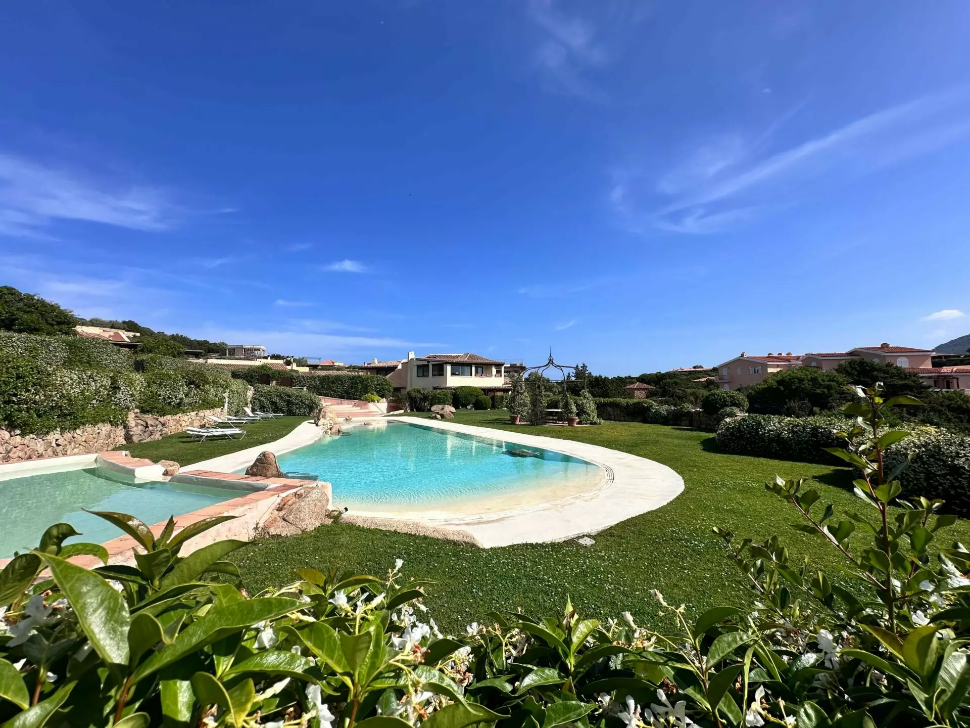 WhatsApp Image 2025-06-12 at 17.31.45