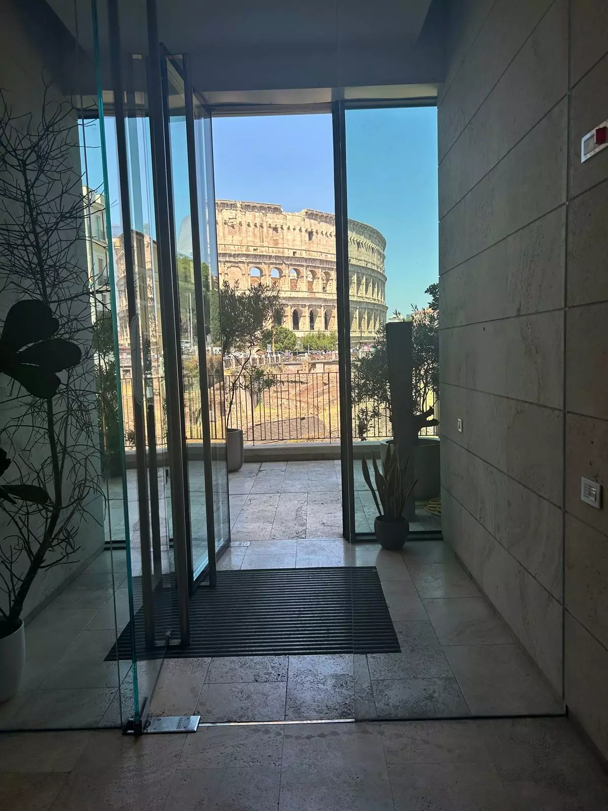 WhatsApp Image 2025-06-30 at 16.26.20