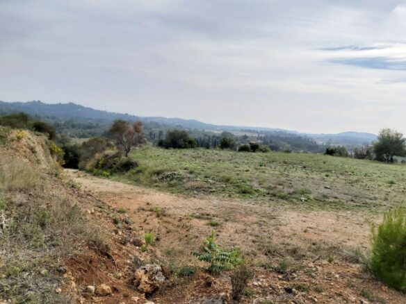 Land In Corfu, Greece