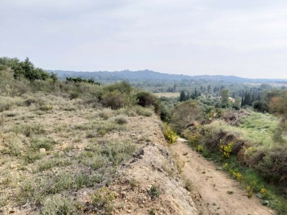Land In Corfu, Greece