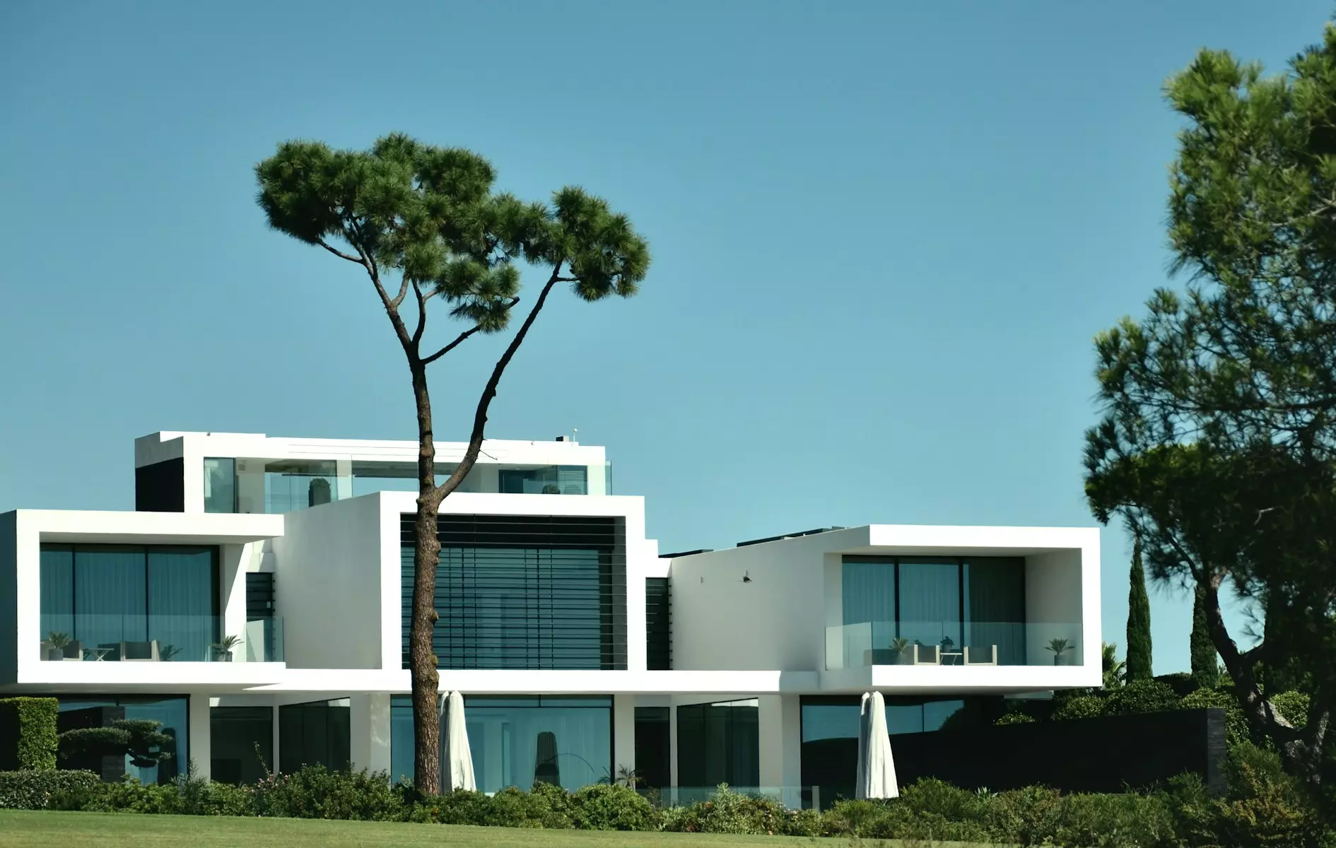 a large white building with a tree in front of it