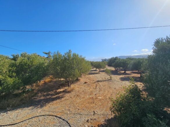 Land In Agios Nikolaos, Greece