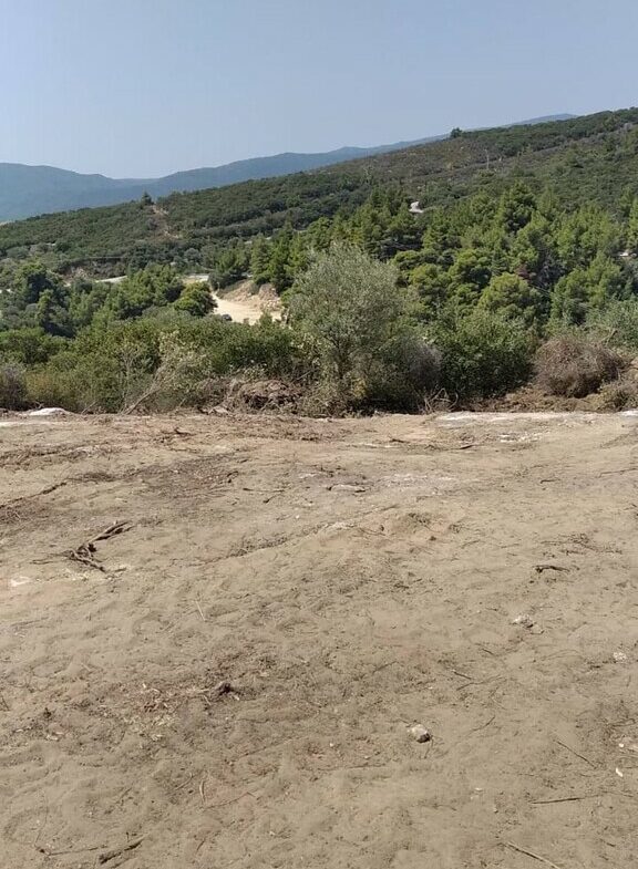 Land In Sithonia, Greece