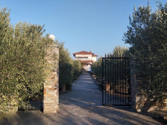 9-bedroom Detached House In Thermaikos, Greece (300 M²)