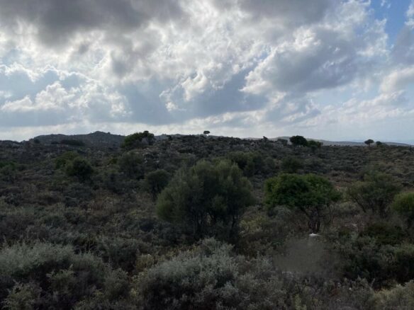 Land In Keramia, Greece