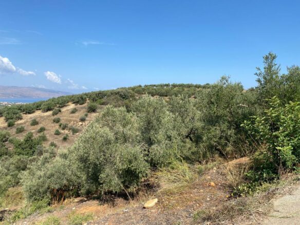 Land In Platanias, Greece