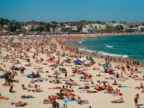 crowd of people on seashore during daytime