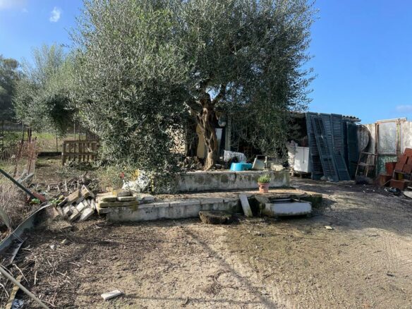Land In Corfu, Greece