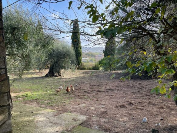 Land In Corfu, Greece