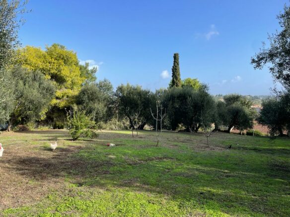 Land In Corfu, Greece