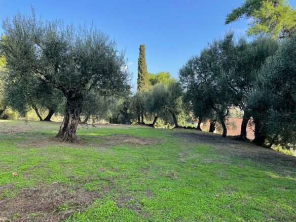 Land In Corfu, Greece