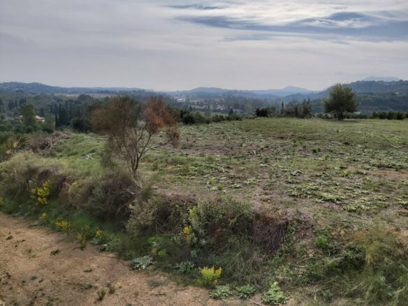 Land In Corfu, Greece